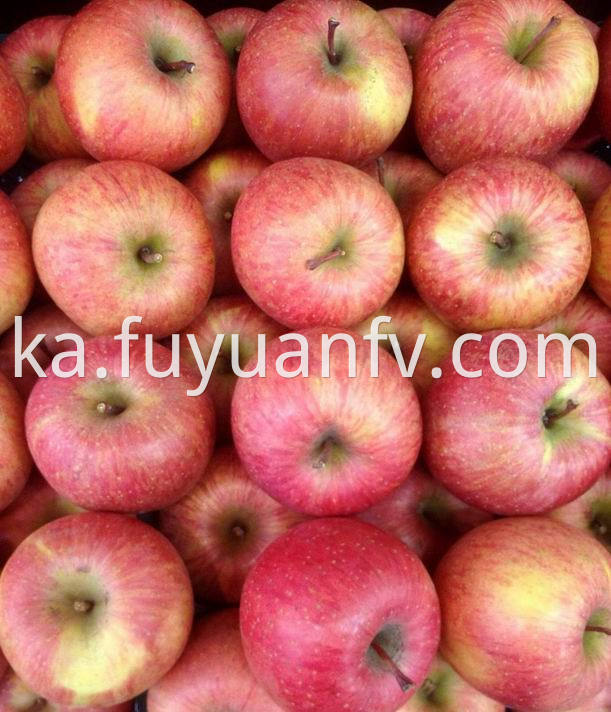 Fuji Apple 62